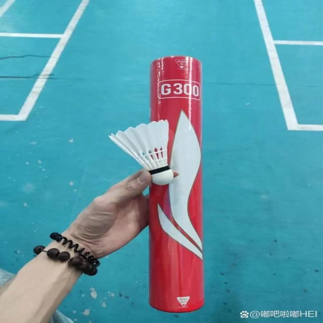 最新国乒名单公布引发热议